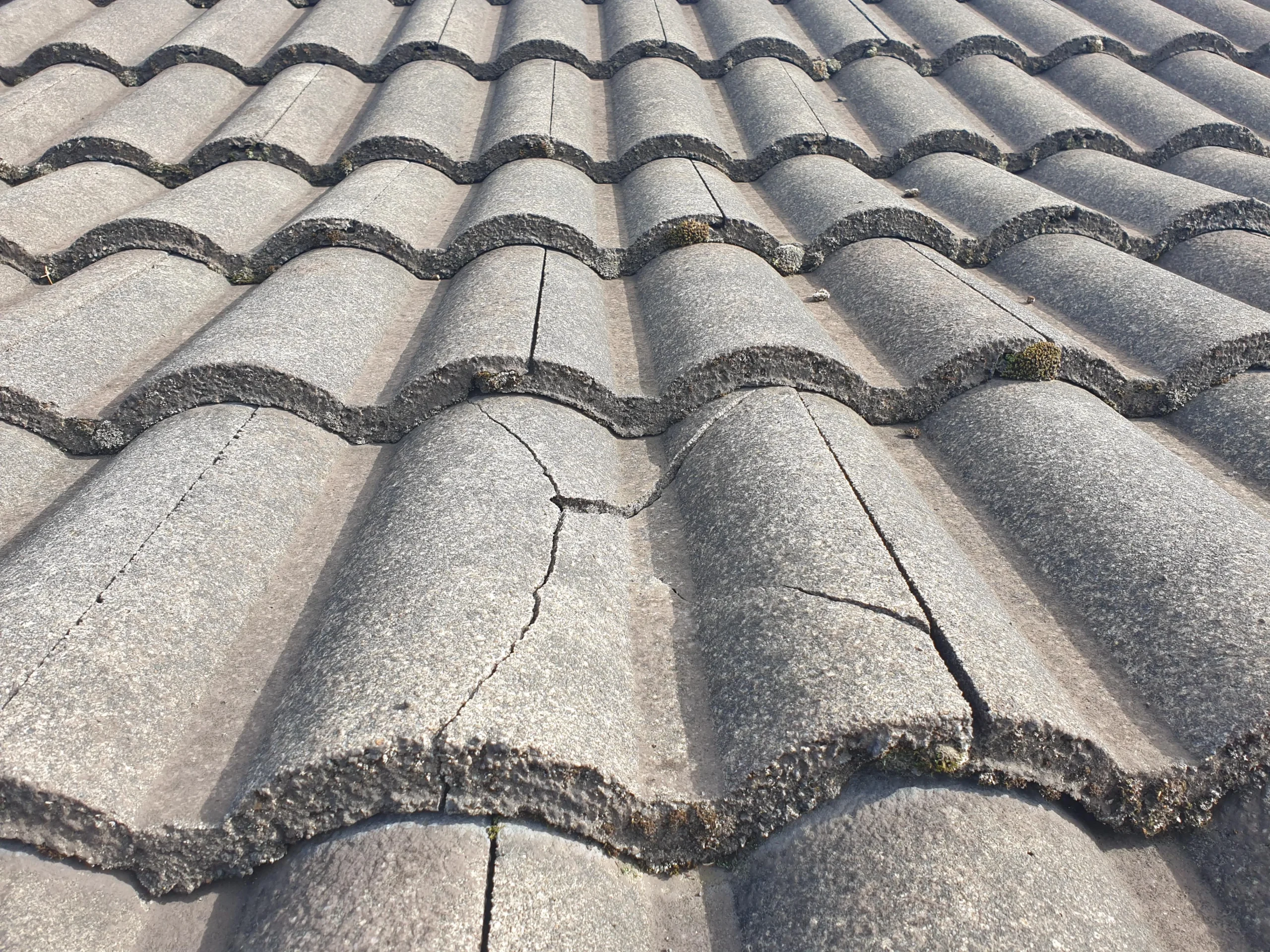 cracked-roof-tile-fix-it-myself-or-get-someone-in-south-florida